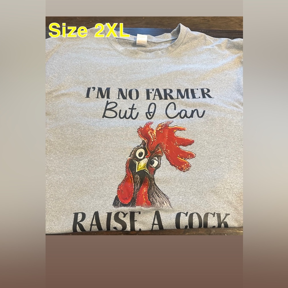 Gray Graphic T-Shirt with Rooster Design